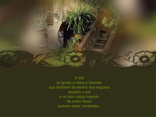 A dor te iguala a ratos e baratas que também de dentro dos esgotos espiam o sol e no seu corpo nojento de entre fezes querem estar contentes.   