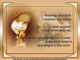 Poderias descobrirPoderias descobrir
o encanto das matas,o encanto das matas,
o sinal sagradoo sinal sagrado
na fronte de cada ser,na fronte de cada ser,
a presença contínua e sã do Criadora presença contínua e sã do Criador
a derramar sobre tia derramar sobre ti
Sua alegria e Seu amor.Sua alegria e Seu amor.
 