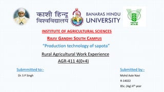 Rural Agricultural Work Experience
AGR-411 4(0+4)
Submmitted to:- Submitted by:-
Dr. S P Singh Mohd Aale Navi
R-14022
BSc. (Ag) 4th year
INSTITUTE OF AGRICULTURAL SCIENCES
RAJIV GANDHI SOUTH CAMPUS
“Production technology of sapota”
 