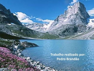 Trabalho realizado por: Pedro Brandão