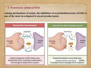 Role Of Diatomaceous Earth (DE) And Essential Oils in the management Of ...