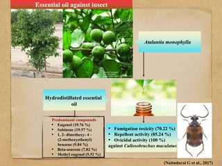 Role Of Diatomaceous Earth (DE) And Essential Oils in the management Of ...