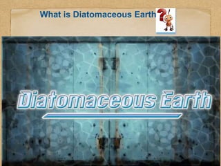 Role Of Diatomaceous Earth (DE) And Essential Oils in the management Of ...