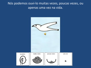 Nós podemos ouvi-lo muitas vezes, poucas vezes, ou apenas uma vez na vida. 