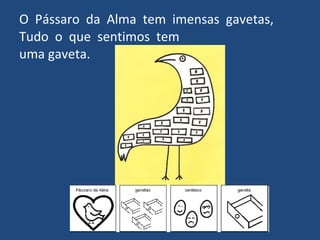 O  Pássaro  da  Alma  tem  imensas  gavetas,  Tudo  o  que  sentimos  tem uma gaveta. 