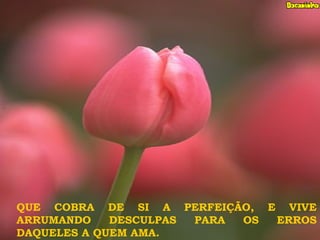 QUE COBRA DE SI A PERFEIÇÃO, E VIVE
ARRUMANDO DESCULPAS PARA OS ERROS
DAQUELES A QUEM AMA.
 