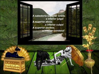 A sabedoria superior tolera;
a inferior julga!
A superior alivia;
a inferior culpa!
A superior perdoa;
a inferior condena!
 