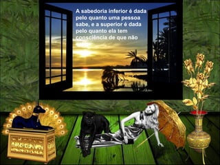 A sabedoria inferior é dada
pelo quanto uma pessoa
sabe, e a superior é dada
pelo quanto ela tem
consciência de que não
sabe.
 