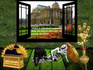 Tenha a sabedoria superior.
Seja um eterno aprendiz na
escola da VIDA!
 