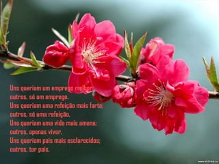 Uns queriam um emprego melhor;
outros, só um emprego.
Uns queriam uma refeição mais farta;
outros, só uma refeição.
Uns queriam uma vida mais amena;
outros, apenas viver.
Uns queriam pais mais esclarecidos;
outros, ter pais.
 