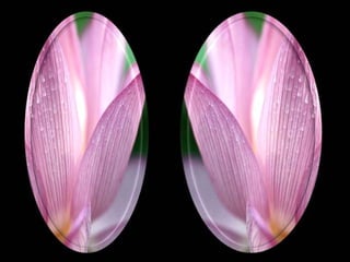 "Pequenos prazeres,
grandes recompensas"
 