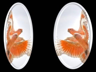 Durante a noite, quando dormimos
e morremos para a vida, ela se
ergue em liberdade e mostra onde
podemos chegar.
Mas, por pura tolice e medo de nós
mesmos, achamos que tudo não
passou de um sonho,
e voltamos para a aflição do dia que
poderia ser muito melhor,
 