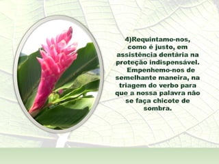 A  Alma Também  - André Luís