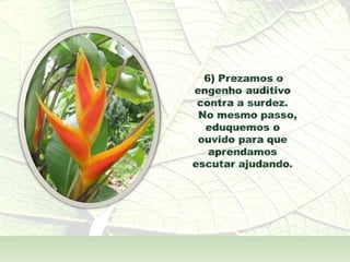 A  Alma Também  - André Luís