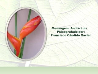 A  Alma Também  - André Luís