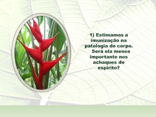 A  Alma Também  - André Luís