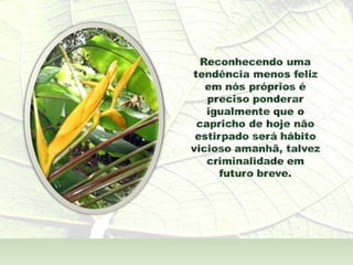 A  Alma Também  - André Luís