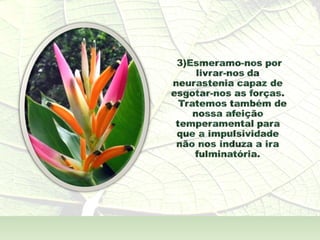 A  Alma Também  - André Luís