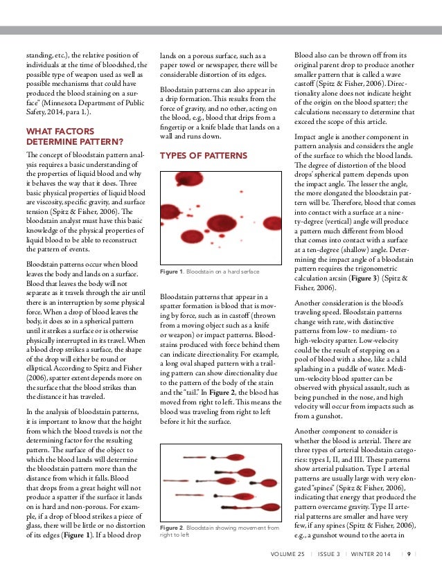 Bloodstain Patterns The Stories They Tell