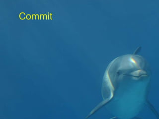Commit
 