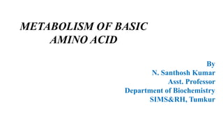 METABOLISM OF BASIC
AMINO ACID
By
N. Santhosh Kumar
Asst. Professor
Department of Biochemistry
SIMS&RH, Tumkur
 