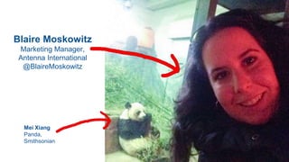 Blaire Moskowitz
Marketing Manager,
Antenna International
@BlaireMoskowitz
Mei Xiang
Panda,
Smithsonian
 