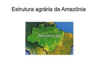 Estrutura agrária da Amazônia

 