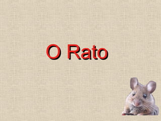 O RatoO Rato
 