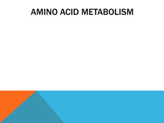 Amino acid metabolism | PPTX