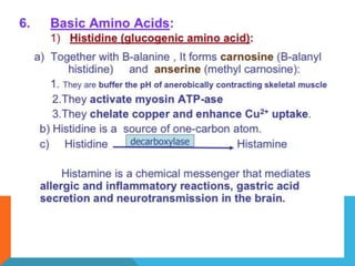 Amino acid metabolism | PPTX