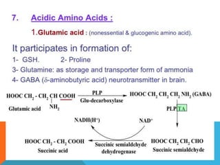 Amino acid metabolism | PPTX
