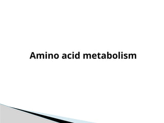 Amino acid metabolism occuring in the cells | PPTX