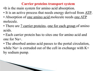 Amino acid metabolism occuring in the cells | PPTX