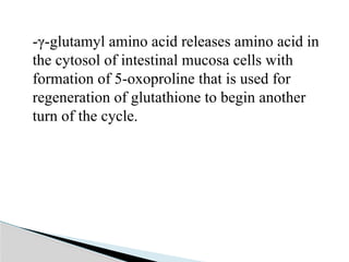 Amino acid metabolism occuring in the cells | PPTX