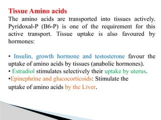 Amino acid metabolism occuring in the cells | PPTX