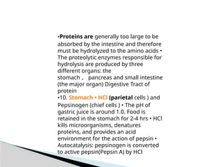 Amino acid metabolism occuring in the cells | PPTX