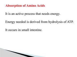Amino acid metabolism occuring in the cells | PPTX