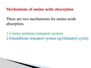 Amino acid metabolism occuring in the cells | PPTX