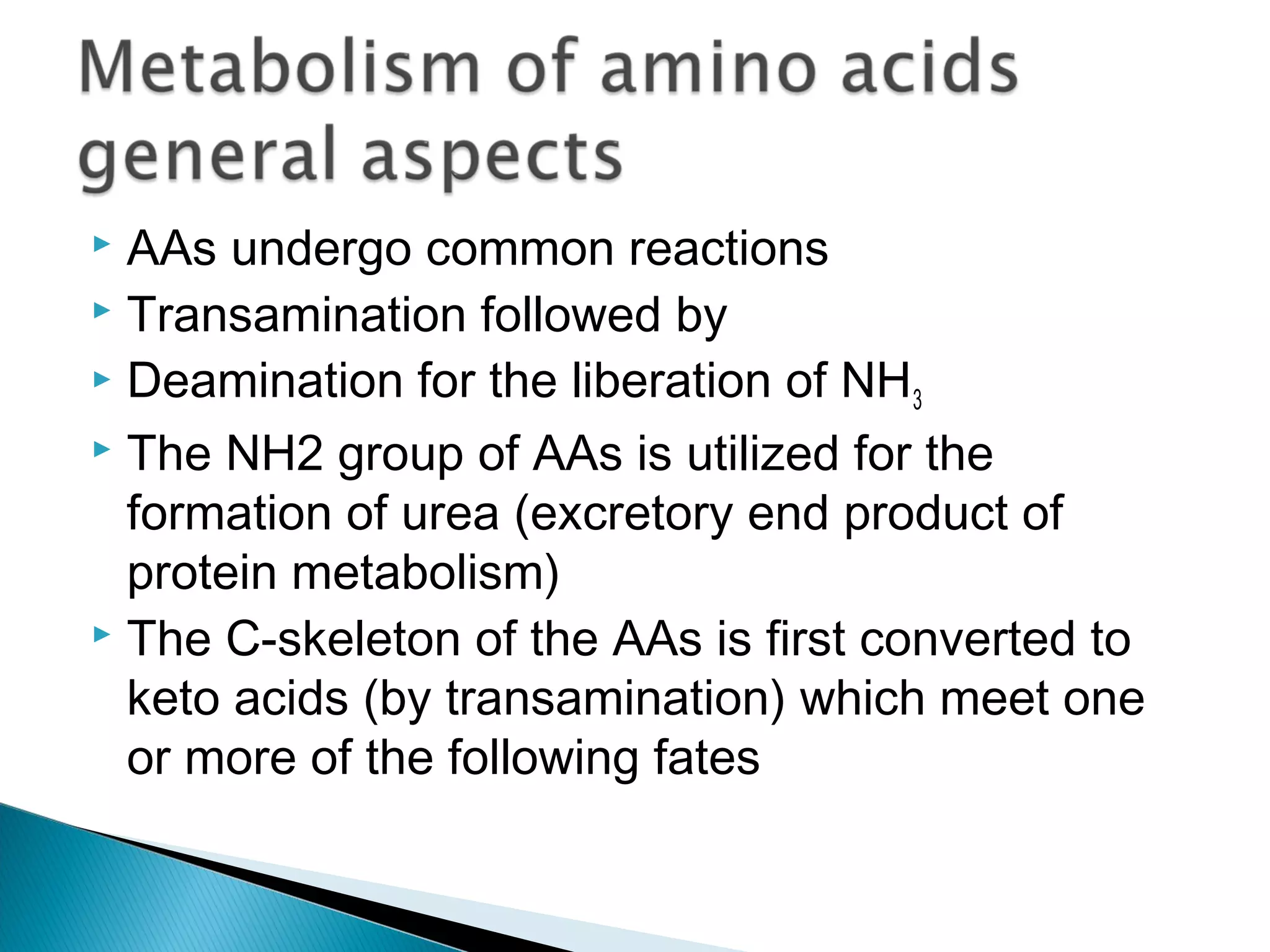  AAs undergo common reactions
 Transamination followed by
 Deamination for the liberation of NH3
 The NH2 group of AAs is utilized for the
formation of urea (excretory end product of
protein metabolism)
 The C-skeleton of the AAs is first converted to
keto acids (by transamination) which meet one
or more of the following fates
 