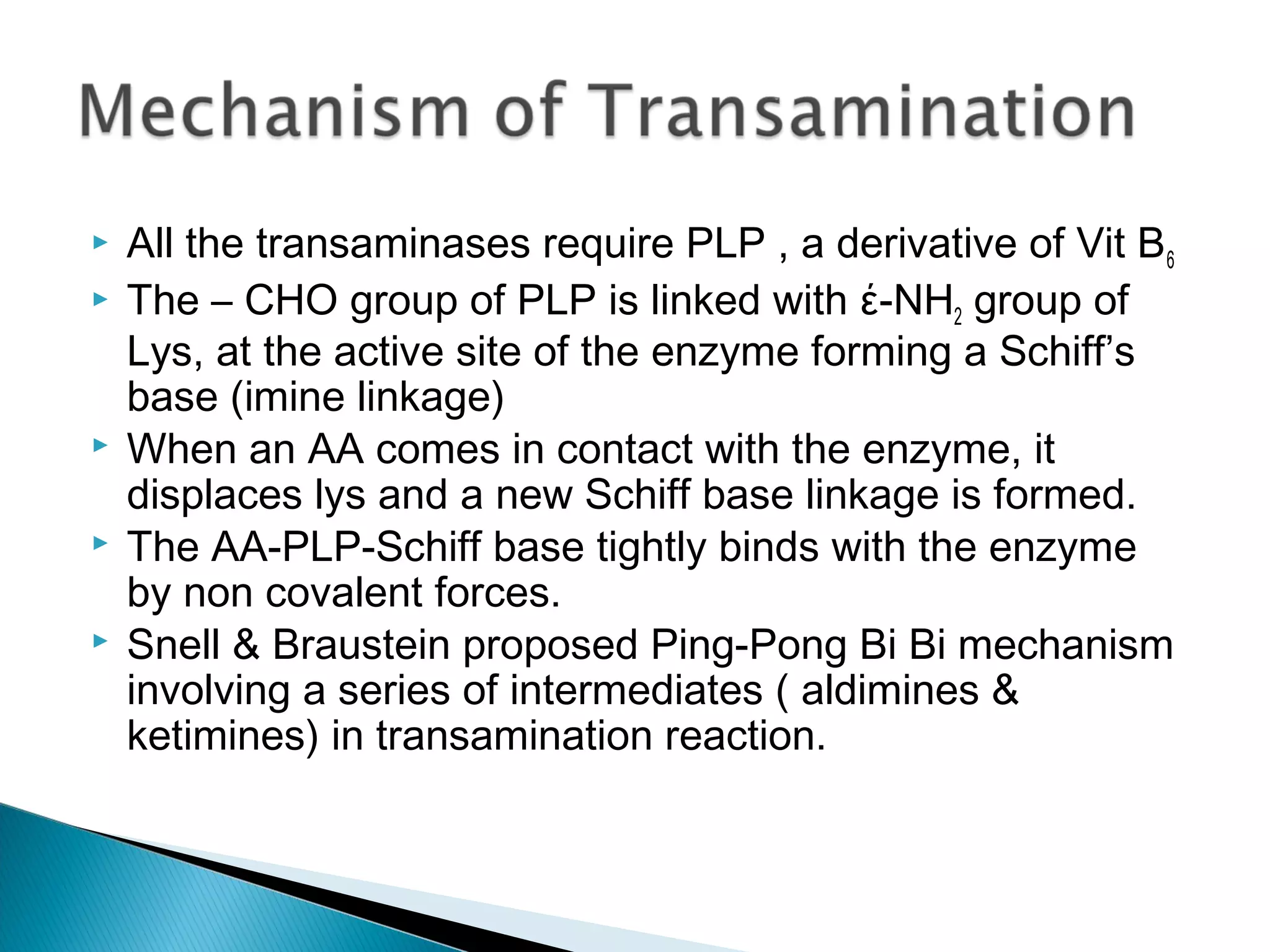  All the transaminases require PLP , a derivative of Vit B6
 The – CHO group of PLP is linked with έ-NH2 group of
Lys, at the active site of the enzyme forming a Schiff’s
base (imine linkage)
 When an AA comes in contact with the enzyme, it
displaces lys and a new Schiff base linkage is formed.
 The AA-PLP-Schiff base tightly binds with the enzyme
by non covalent forces.
 Snell & Braustein proposed Ping-Pong Bi Bi mechanism
involving a series of intermediates ( aldimines &
ketimines) in transamination reaction.
 