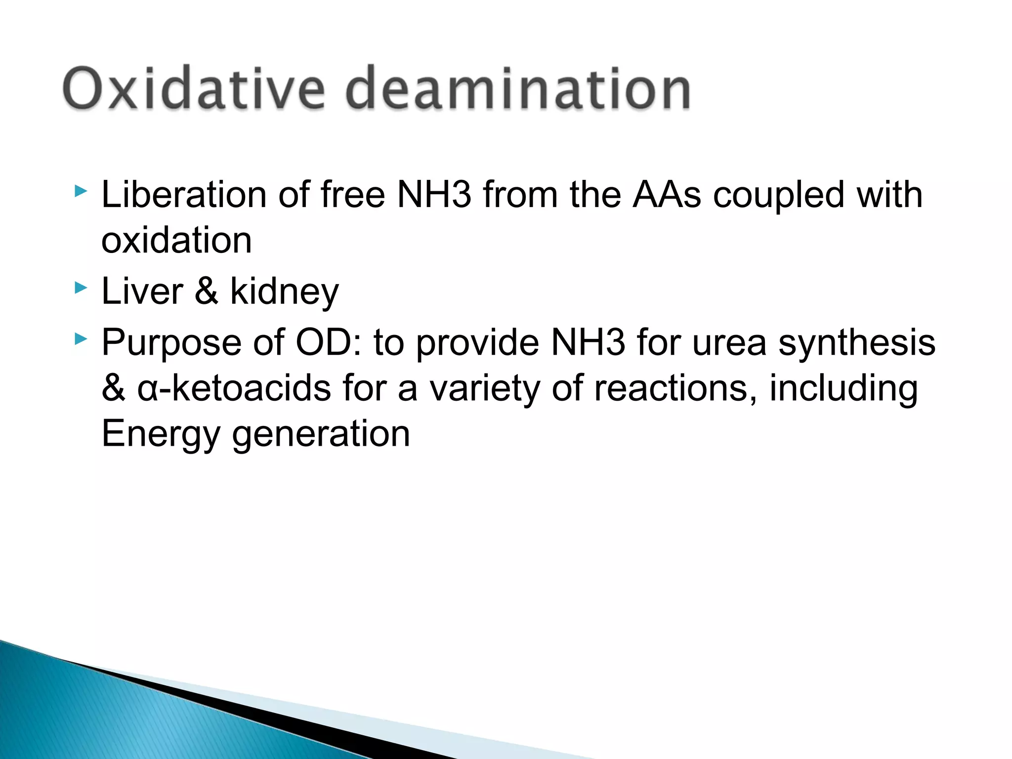 Liberation of free NH3 from the AAs coupled with
oxidation
 Liver & kidney
 Purpose of OD: to provide NH3 for urea synthesis
& α-ketoacids for a variety of reactions, including
Energy generation
 