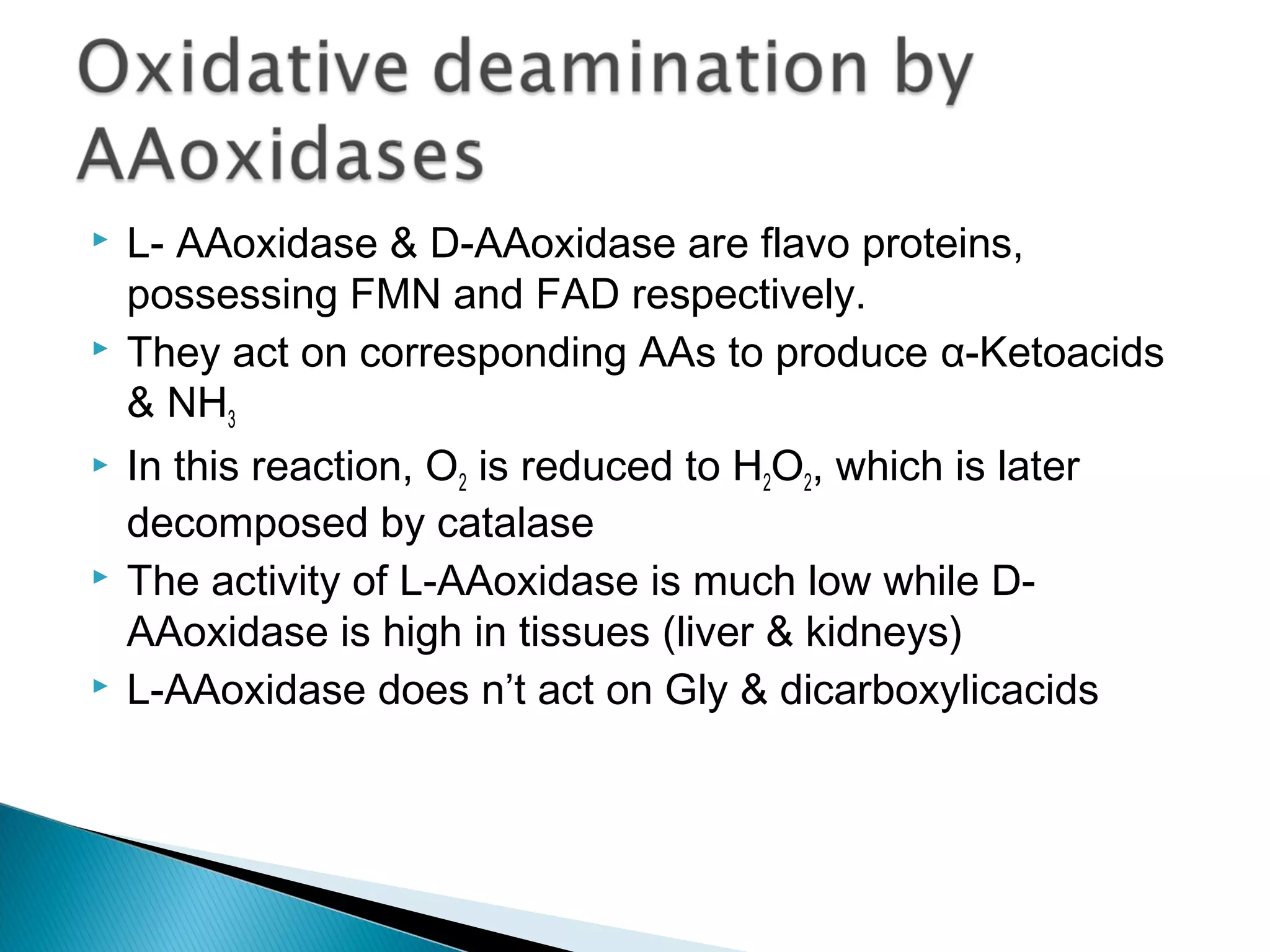  L- AAoxidase & D-AAoxidase are flavo proteins,
possessing FMN and FAD respectively.
 They act on corresponding AAs to produce α-Ketoacids
& NH3
 In this reaction, O2 is reduced to H2O2, which is later
decomposed by catalase
 The activity of L-AAoxidase is much low while D-
AAoxidase is high in tissues (liver & kidneys)
 L-AAoxidase does n’t act on Gly & dicarboxylicacids
 