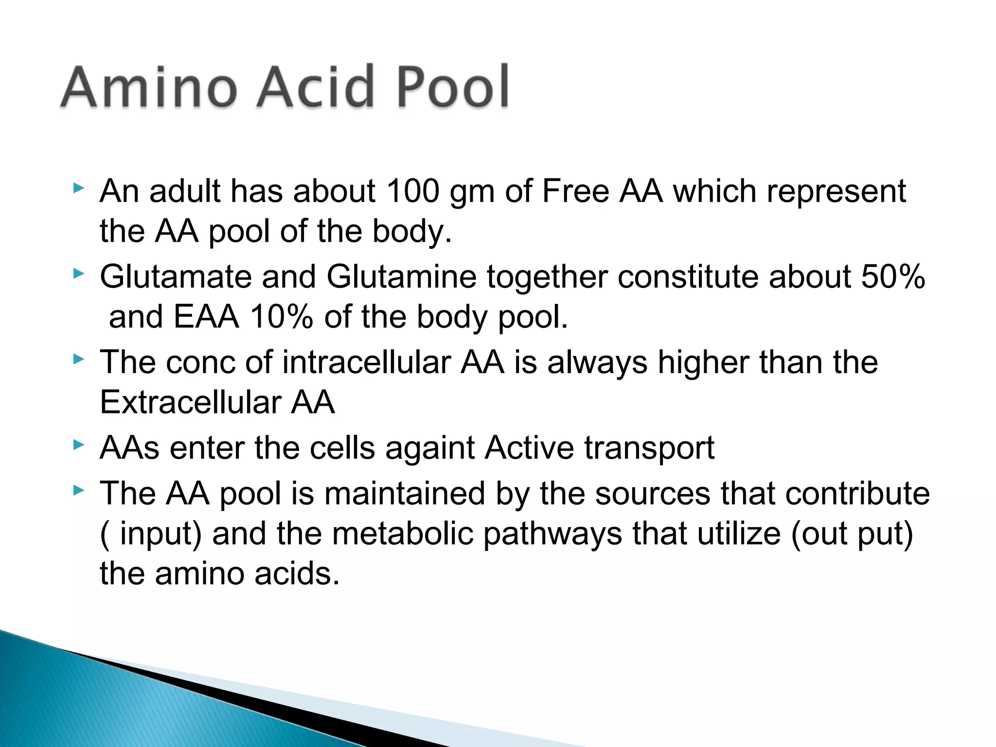  An adult has about 100 gm of Free AA which represent
the AA pool of the body.
 Glutamate and Glutamine together constitute about 50%
and EAA 10% of the body pool.
 The conc of intracellular AA is always higher than the
Extracellular AA
 AAs enter the cells againt Active transport
 The AA pool is maintained by the sources that contribute
( input) and the metabolic pathways that utilize (out put)
the amino acids.
 