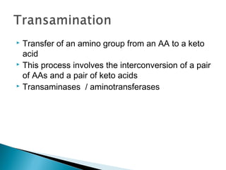  Transfer of an amino group from an AA to a keto
acid
 This process involves the interconversion of a pair
of AAs and a pair of keto acids
 Transaminases / aminotransferases
 