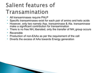  All transaminases require PALP
 Specific transaminases exist for each pair of amino and keto acids
 However, only two namely Asp. transaminase & Ala. transaminase
make a significant contribution for transamination
 There is no free NH3 liberated, only the transfer of NH3 group occurs
 Reversible
 Production of non-EAAs as per the requirement of the cell
 Diverts the excess of AAs towards Energy generation
 