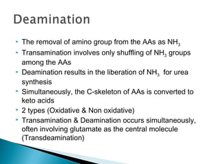  The removal of amino group from the AAs as NH3
 Transamination involves only shuffling of NH3 groups
among the AAs
 Deamination results in the liberation of NH3 for urea
synthesis
 Simultaneously, the C-skeleton of AAs is converted to
keto acids
 2 types (Oxidative & Non oxidative)
 Transamination & Deamination occurs simultaneously,
often involving glutamate as the central molecule
(Transdeamination)
 