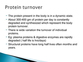  The protein present in the body is in a dynamic state.
 About 300-400 gm of protein per day is constantly
degraded and synthesized which represent the body
protein turnover.
 There is wide variation the turnover of individual
proteins.
 Eg: plasma proteins & digestive enzymes are rapidly
degraded ( half life is hrs/days)
 Structural proteins have long half lives often months and
years.
 