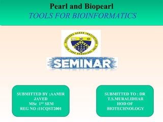 13.1

Pearl and Biopearl
Pearl and Biopearl
TOOLS FOR BIOINFORMATICS
TOOLS FOR BIOINFORMATICS

SUBMITTED BY :AAMIR
JAVED
MSc 1ST SEM
REG NO :11CQST2001

SUBMITTED TO : DR
T.S.MURALIDHAR
HOD OF
BIOTECHNOLOGY

 