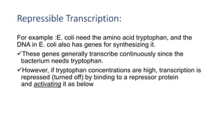 Control of gene expression ppt | PPTX