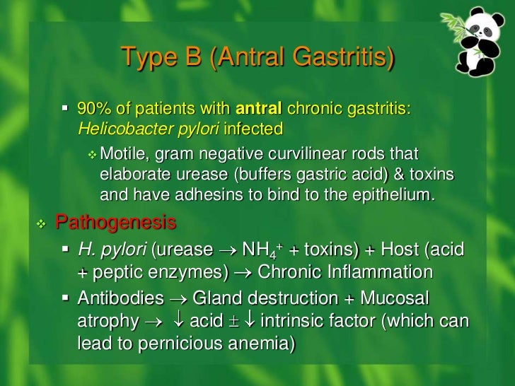 Antral Erosions Diet Tips siamutorrent